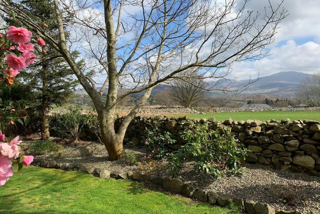 Snowdonia Cabin Caernarfon Ngoại thất bức ảnh