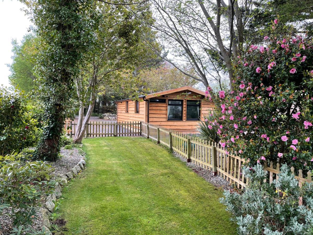 Snowdonia Cabin Caernarfon Ngoại thất bức ảnh