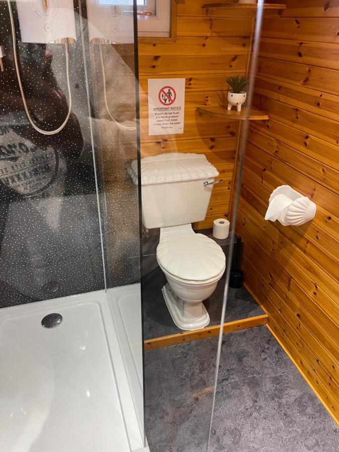 Snowdonia Cabin Caernarfon Ngoại thất bức ảnh
