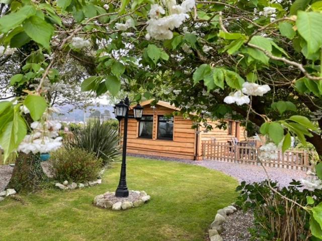 Snowdonia Cabin Caernarfon Ngoại thất bức ảnh